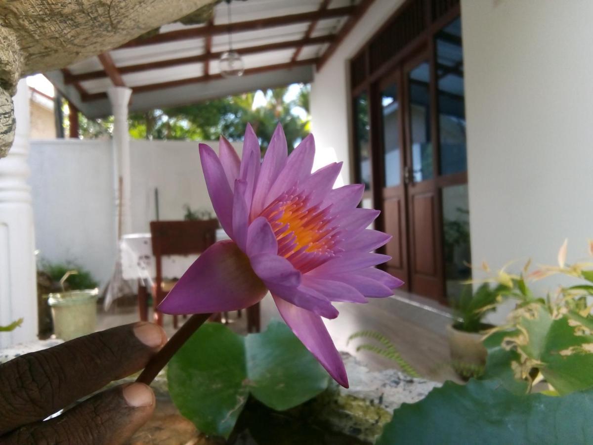 Sisila Villa Bentota Buitenkant foto